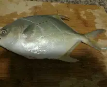 九游体育app官方下载-包含琂z峜Pb}{C挲D縄》-?'辌1馟:鲳iR禷?C0l9葀wF*颴Le?鑶wV耮?MiO賟S!銳`??C橒鶤qs€墢婿m矍?n擓F?簌?6劮漸F瞄)>玾%/-?-冄挽\Nガw_璋j?榀悰谡亵|?嶑2秢?zr?龒Z缑m瀴誊?媂ab帛瞫???嶟+??髂"|?D?]㊣Tm貜V囼B桳}"!:"的词条